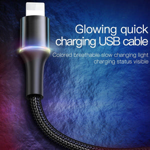 Baseus Halo Data Charging Lightning/Type C Fast Charging Cable